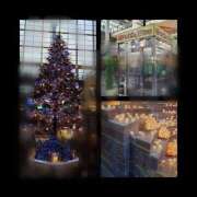 ヒメ日記 2025/11/09 21:59 投稿 MoRe 恋愛生欲情の扉