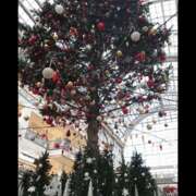 ヒメ日記 2025/11/09 22:19 投稿 MoRe 恋愛生欲情の扉