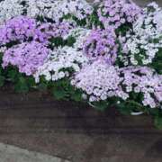 ヒメ日記 2026/03/15 20:04 投稿 MoRe 恋愛生欲情の扉