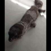 ヒメ日記 2026/03/29 23:59 投稿 MoRe 恋愛生欲情の扉