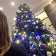 ヒメ日記 2024/12/20 10:03 投稿 ほしな TSUBAKI