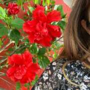 ヒメ日記 2024/12/30 12:21 投稿 ほしな TSUBAKI