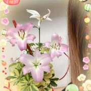 ヒメ日記 2025/01/01 16:06 投稿 ほしな TSUBAKI