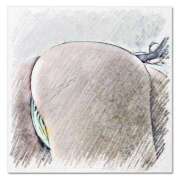 ヒメ日記 2025/04/02 08:02 投稿 莉子 素人妻達☆マイふぇらレディー