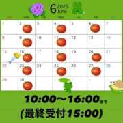 ヒメ日記 2025/05/28 20:03 投稿 りこ グランローズ