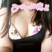 ヒメ日記 2025/04/11 11:54 投稿 るり One More奥様　横浜関内店