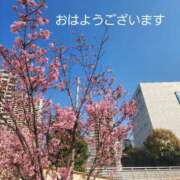 ヒメ日記 2026/06/07 05:16 投稿 るり One More奥様　横浜関内店