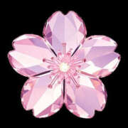 ヒメ日記 2026/02/23 02:40 投稿 わかな ギャルズネットワーク神戸