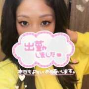 ヒメ日記 2026/02/26 23:47 投稿 わかな ギャルズネットワーク神戸