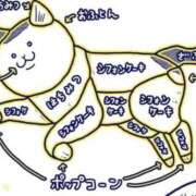 ヒメ日記 2025/04/08 00:52 投稿 あお 夢幻（むげん）