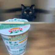 ヒメ日記 2025/06/16 14:34 投稿 あお 夢幻（むげん）