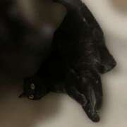 ヒメ日記 2025/08/10 11:19 投稿 あお 夢幻（むげん）