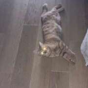 ヒメ日記 2025/09/21 10:07 投稿 あお 夢幻（むげん）