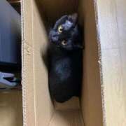 ヒメ日記 2025/09/23 13:24 投稿 あお 夢幻（むげん）