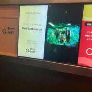 ヒメ日記 2025/09/25 23:23 投稿 あお 夢幻（むげん）