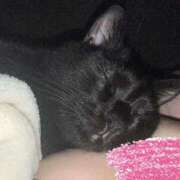 ヒメ日記 2025/10/06 22:12 投稿 あお 夢幻（むげん）