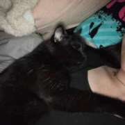 ヒメ日記 2025/11/05 20:15 投稿 あお 夢幻（むげん）