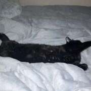 ヒメ日記 2025/12/16 23:23 投稿 あお 夢幻（むげん）