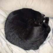 ヒメ日記 2025/12/19 14:11 投稿 あお 夢幻（むげん）