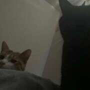 ヒメ日記 2025/12/27 10:00 投稿 あお 夢幻（むげん）