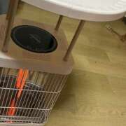 ヒメ日記 2025/12/30 20:00 投稿 あお 夢幻（むげん）