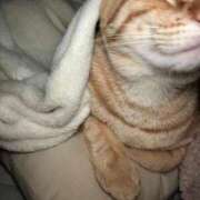 ヒメ日記 2026/01/07 20:15 投稿 あお 夢幻（むげん）