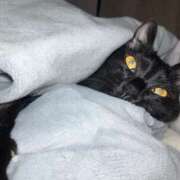 ヒメ日記 2026/01/24 11:00 投稿 あお 夢幻（むげん）