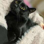 ヒメ日記 2026/02/07 22:05 投稿 あお 夢幻（むげん）