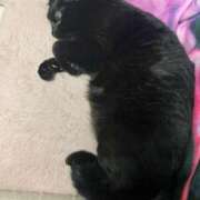 ヒメ日記 2026/02/11 22:32 投稿 あお 夢幻（むげん）