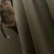 ヒメ日記 2026/02/16 10:46 投稿 あお 夢幻（むげん）