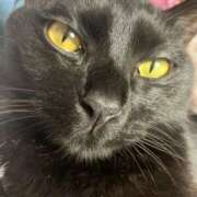 ヒメ日記 2026/03/10 21:44 投稿 あお 夢幻（むげん）