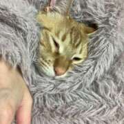 ヒメ日記 2026/03/12 13:24 投稿 あお 夢幻（むげん）