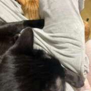 ヒメ日記 2026/03/26 22:35 投稿 あお 夢幻（むげん）