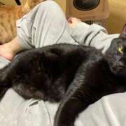 ヒメ日記 2026/03/28 21:24 投稿 あお 夢幻（むげん）