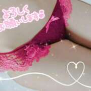 ヒメ日記 2024/12/13 15:10 投稿 杏野 なおみ SUMIRE