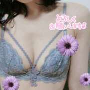 ヒメ日記 2024/12/27 15:06 投稿 杏野 なおみ SUMIRE