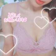 ヒメ日記 2025/01/17 15:17 投稿 杏野 なおみ SUMIRE