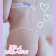 ヒメ日記 2025/09/12 15:07 投稿 杏野 なおみ SUMIRE