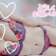 ヒメ日記 2026/02/13 15:18 投稿 杏野 なおみ SUMIRE