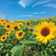 ヒメ日記 2025/11/25 18:01 投稿 あみ 世界のあんぷり亭 日暮里店