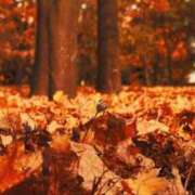 ヒメ日記 2024/12/09 02:32 投稿 雲瀬琥珀 プレジデントクラブ