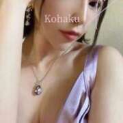 ヒメ日記 2025/02/05 19:54 投稿 雲瀬琥珀 プレジデントクラブ