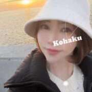 ヒメ日記 2025/02/19 07:01 投稿 雲瀬琥珀 プレジデントクラブ