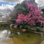 ヒメ日記 2025/03/18 16:24 投稿 雲瀬琥珀 プレジデントクラブ