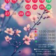 ヒメ日記 2025/03/28 22:56 投稿 雲瀬琥珀 プレジデントクラブ