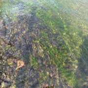 ヒメ日記 2025/06/05 19:21 投稿 雲瀬琥珀 プレジデントクラブ