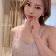 ヒメ日記 2025/11/15 18:48 投稿 雲瀬琥珀 プレジデントクラブ