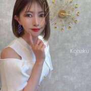 ヒメ日記 2025/11/27 10:35 投稿 雲瀬琥珀 プレジデントクラブ