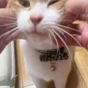 ヒメ日記 2025/07/02 08:39 投稿 渋谷みく 一夜妻