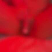 ヒメ日記 2025/07/28 16:49 投稿 渋谷みく 一夜妻